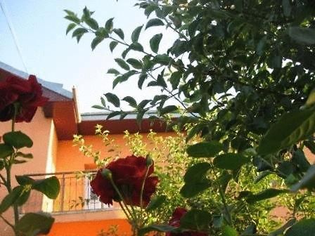 Lary Hostel Suceava Extérieur photo