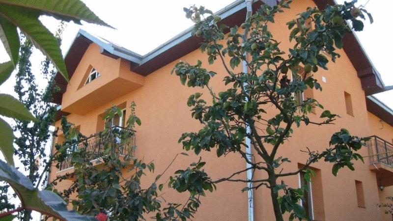 Lary Hostel Suceava Extérieur photo