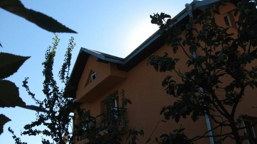 Lary Hostel Suceava Extérieur photo