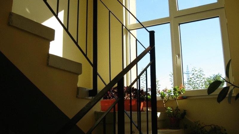 Lary Hostel Suceava Extérieur photo