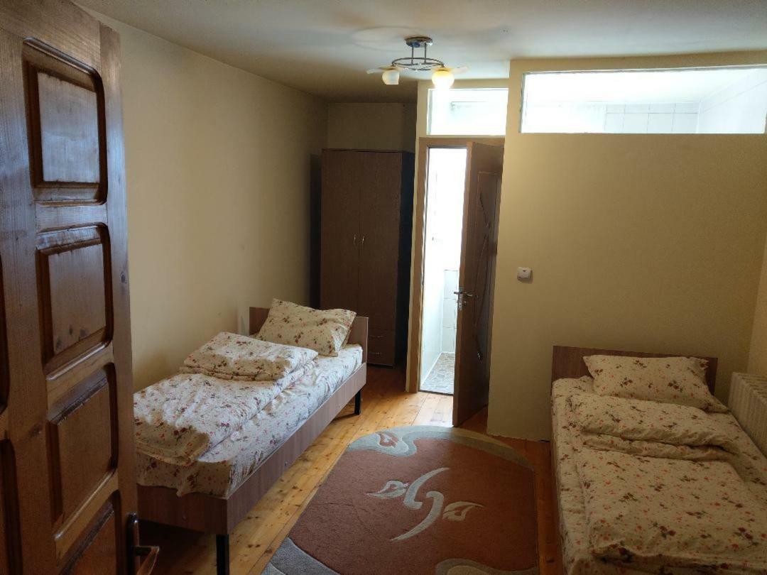Lary Hostel Suceava Extérieur photo