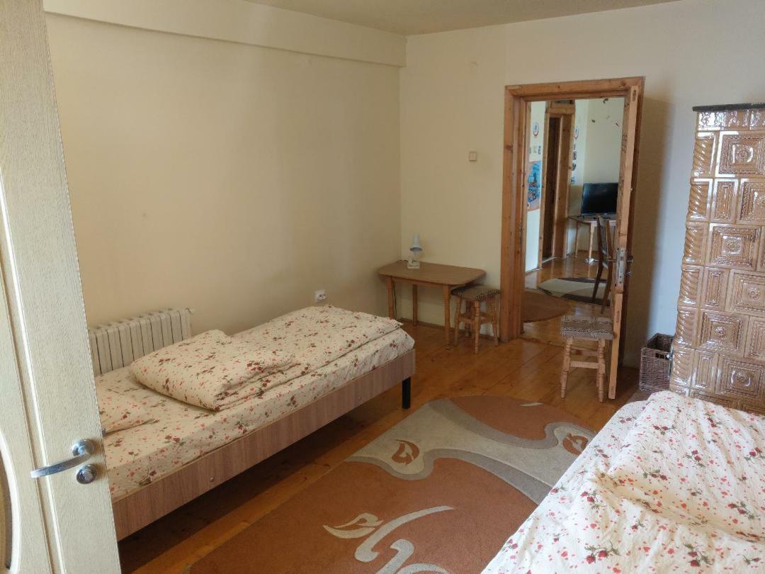 Lary Hostel Suceava Extérieur photo