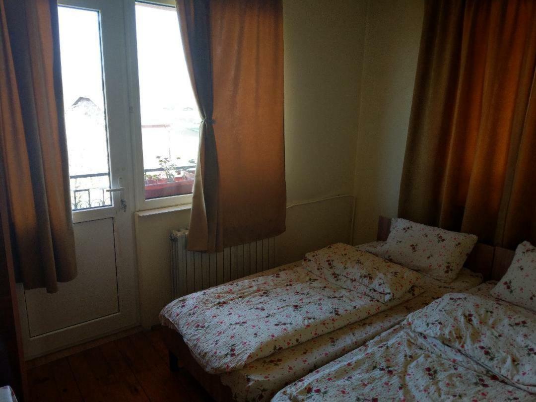 Lary Hostel Suceava Extérieur photo