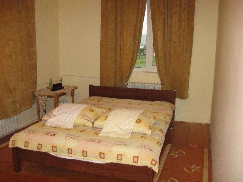 Lary Hostel Suceava Extérieur photo